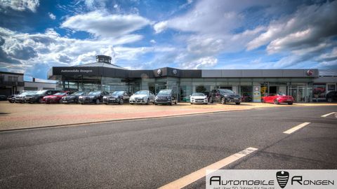 Fiat Professional Automobile Rongen