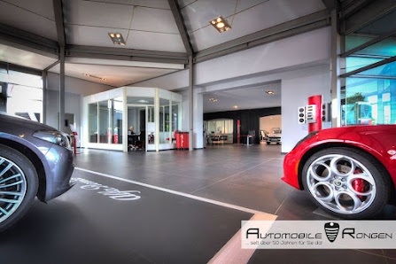 Fiat Professional Automobile Rongen