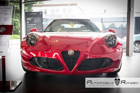 Fiat Professional Automobile Rongen