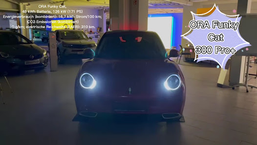 Opel, Mitsubishi + GWM Autohaus Vogel & Werner