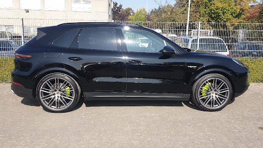 Car Color Choice