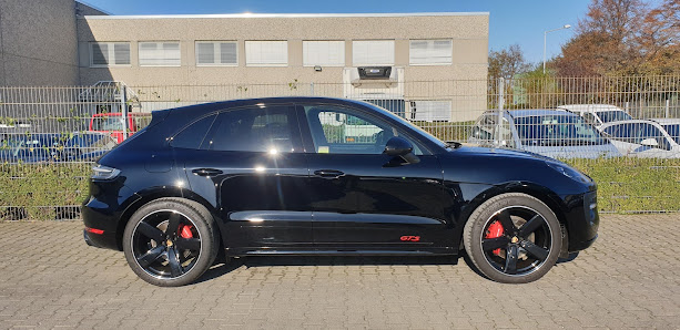 Car Color Choice
