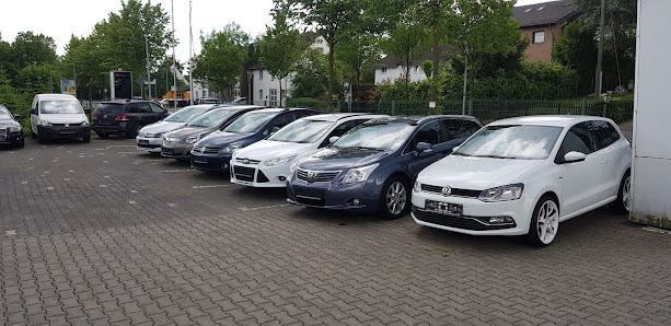 Malofeev-Schaible Autohandel Alexander