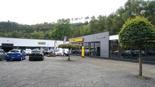 Hoppmann Autowelt | Opel