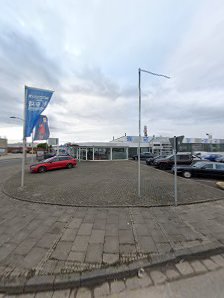 Die Autogesellschaft