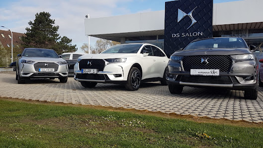 DS SALON Werl