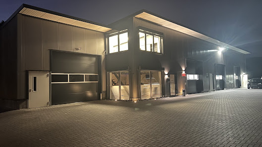 Auerswald Automobile