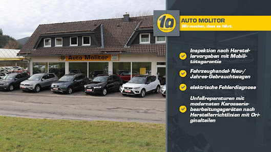 Auto Molitor 1a autoservice