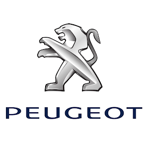 Robert Kötting Peugeot