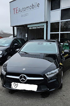 Tenbrink TE Automobile