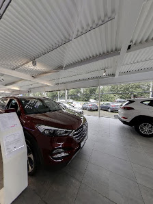 Tiemeyer – Hyundai Center Datteln