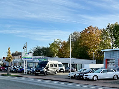 Automobile Wolter