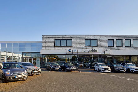 Autohaus Jungeblut I BMW I MINI Service l MG Händler