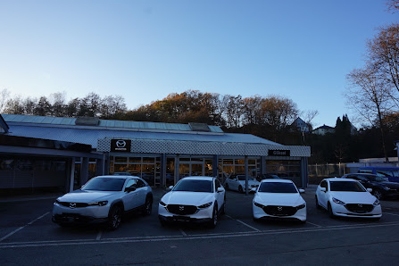 Autohaus Göksel GmbH