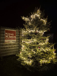 KFZ-Meisterbetrieb Klaus Klein