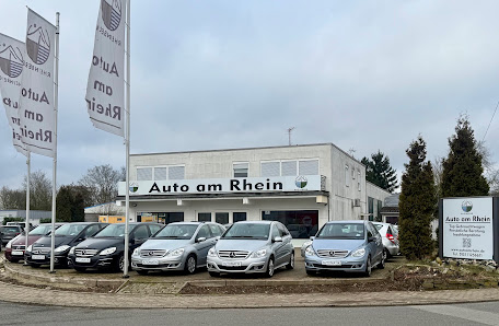 Auto am Rhein