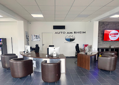 Auto am Rhein