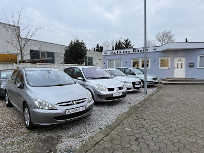 Auto am Rhein