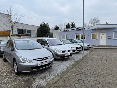 Auto am Rhein