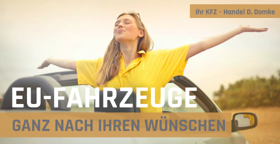 Dieter Domke Kraftfahrzeuge