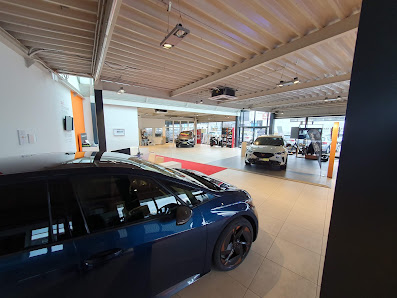 Seat, Cupra Ludwigshafen | Autohaus Scherer