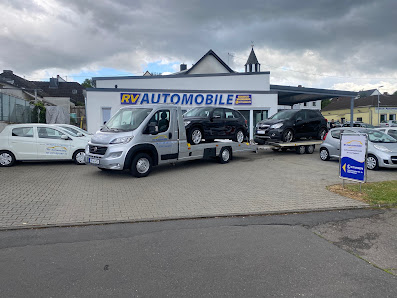 RV Automobile