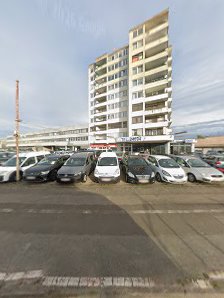 Car Point Worms