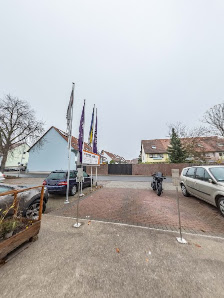 Reifen Star Frankenthal