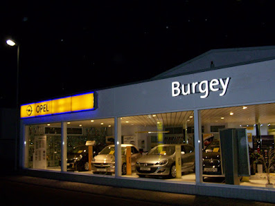 Opel Burgey Automobile