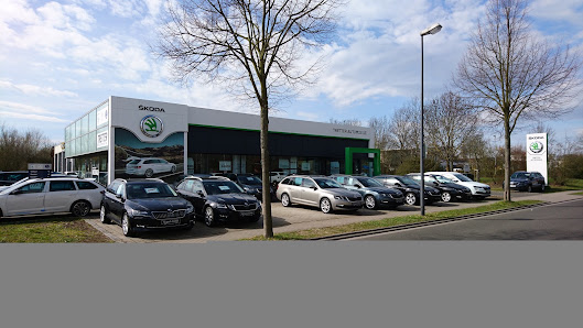 Tretter Automobile GmbH Co. KG