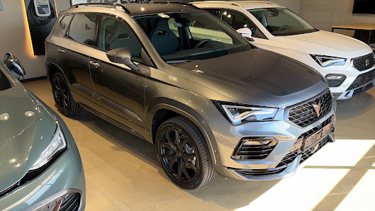 VW, Audi, Skoda, Cupra, Seat, VW Nutzf. | Autohaus Scherer