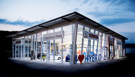 AUTOHAUS DINIG GMBH & CO. KG