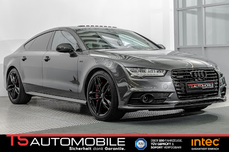 TS Automobile