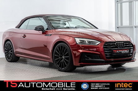 TS Automobile
