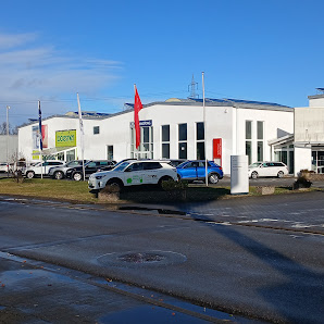 Autohaus Henzel Mutterstadt GmbH