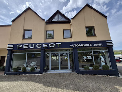 Peugeot Automobile Junk