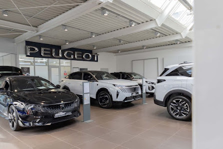 R. Müller GmbH - Peugeot Müller - Dillingen