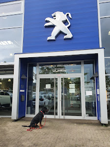 Peugeot Autohaus Ulmen