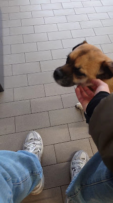 Stop+go Die Autowerkstatt (Düsseldorf)