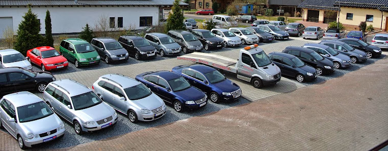 Auto Petronijevic