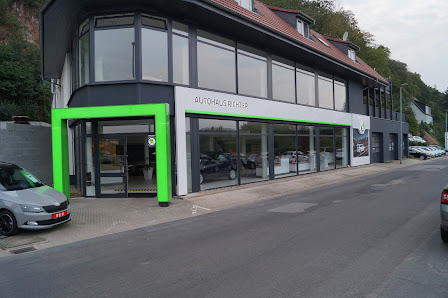 Autohaus Richter GmbH & Co. KG