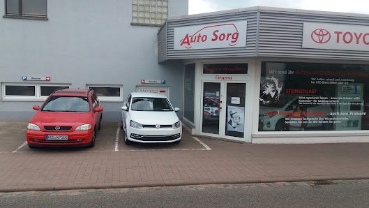 Auto-Sorg