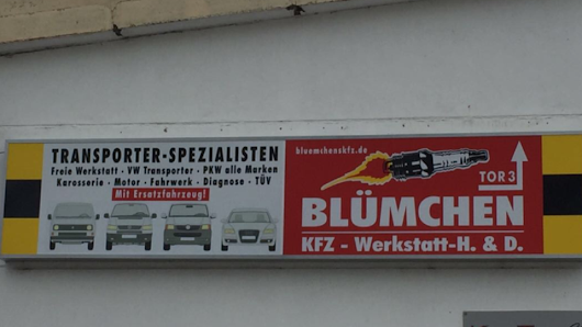 Bluemchenskfz - Bulli T3,T4,T5,Werkstatt /Typenoffen