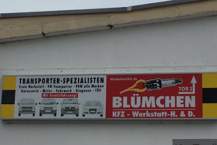 Bluemchenskfz - Bulli T3,T4,T5,Werkstatt /Typenoffen