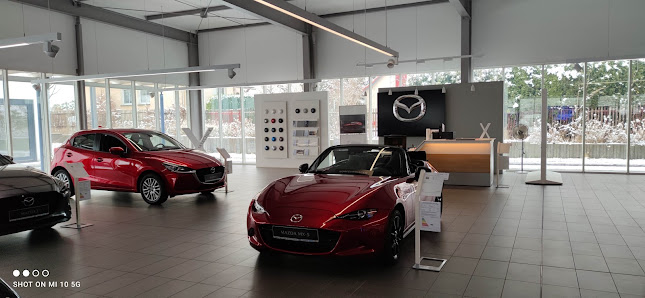 Autohaus Arndt Inh. B.Budi e.K.