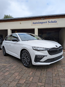Autoimport-Scholz