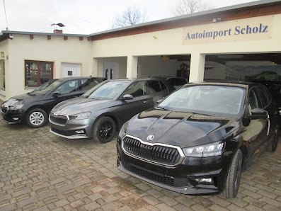 Autoimport-Scholz