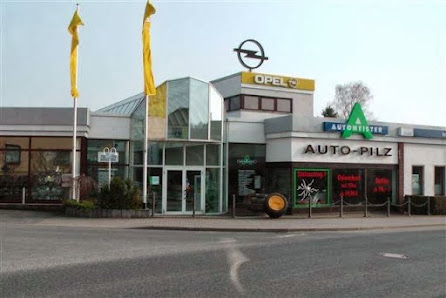 Auto - Pilz E.k.
