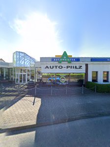 Auto - Pilz E.k.
