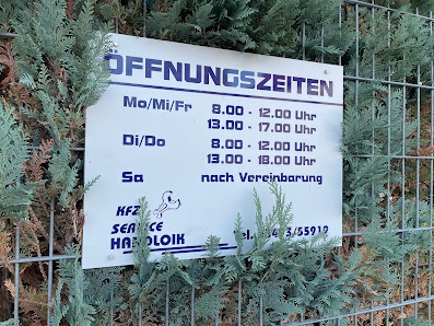 KFZ-Service Handloik